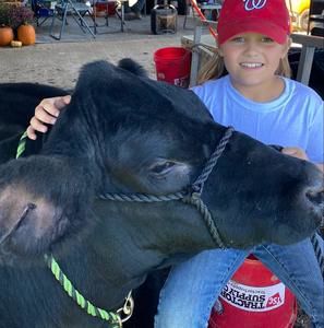 Meet your Posher, Pam